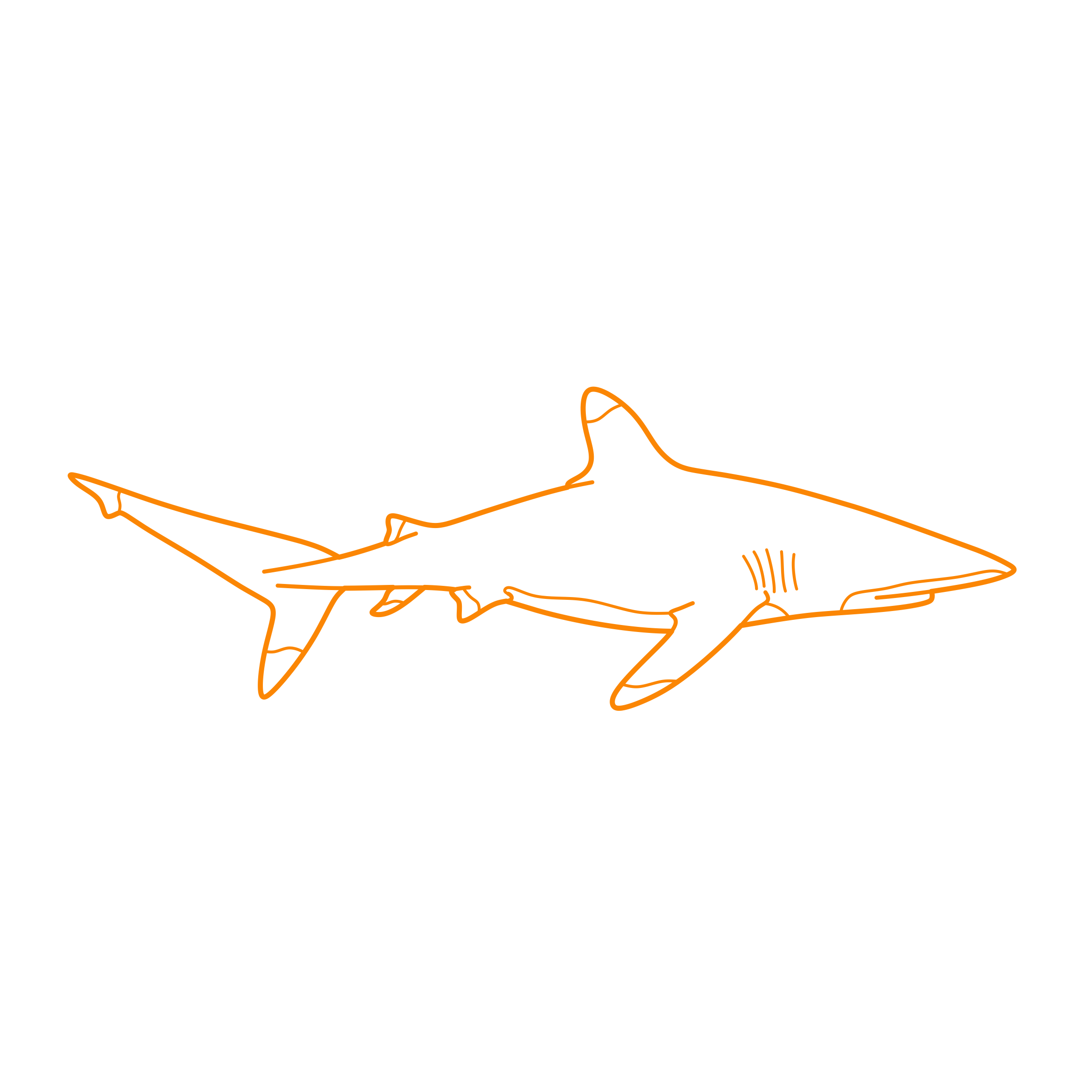 Animals Sharks Oceanic Whitetip Shark Sketch Svg Vector Free Vectors